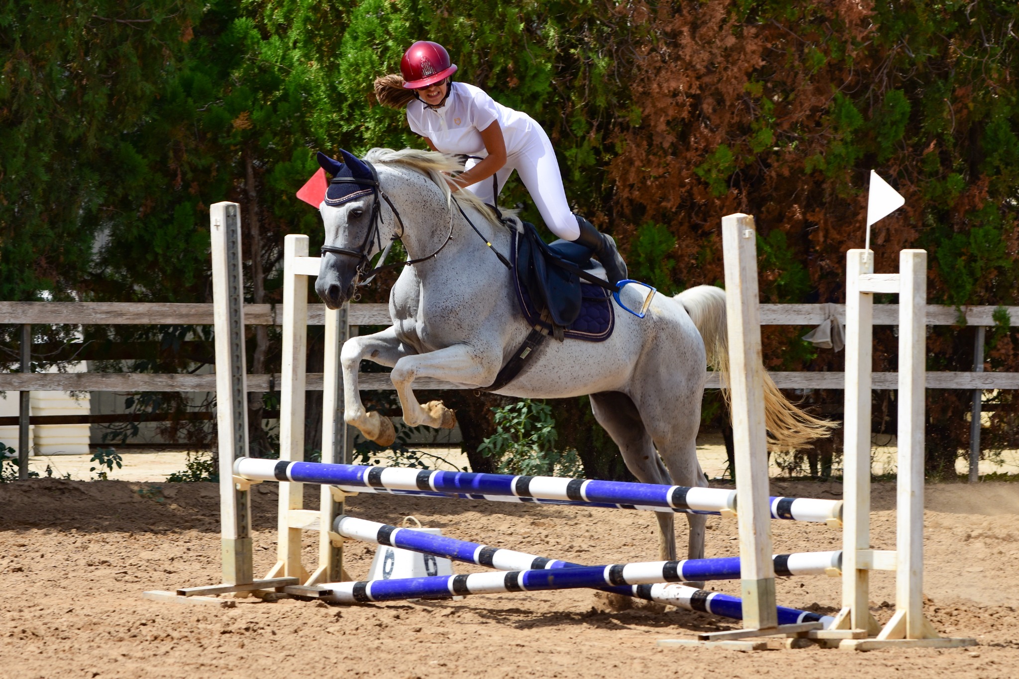 Equitazione · Salto ostacoli — fotografia 6