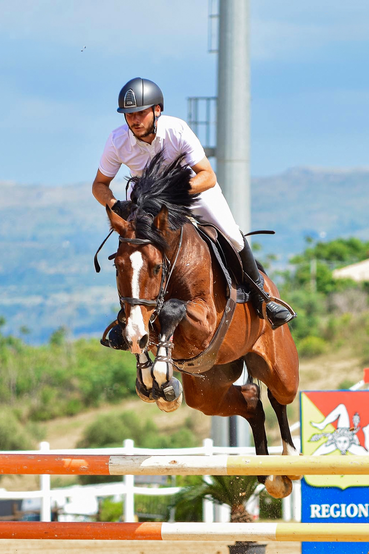 Equitazione · Salto ostacoli — fotografia 3