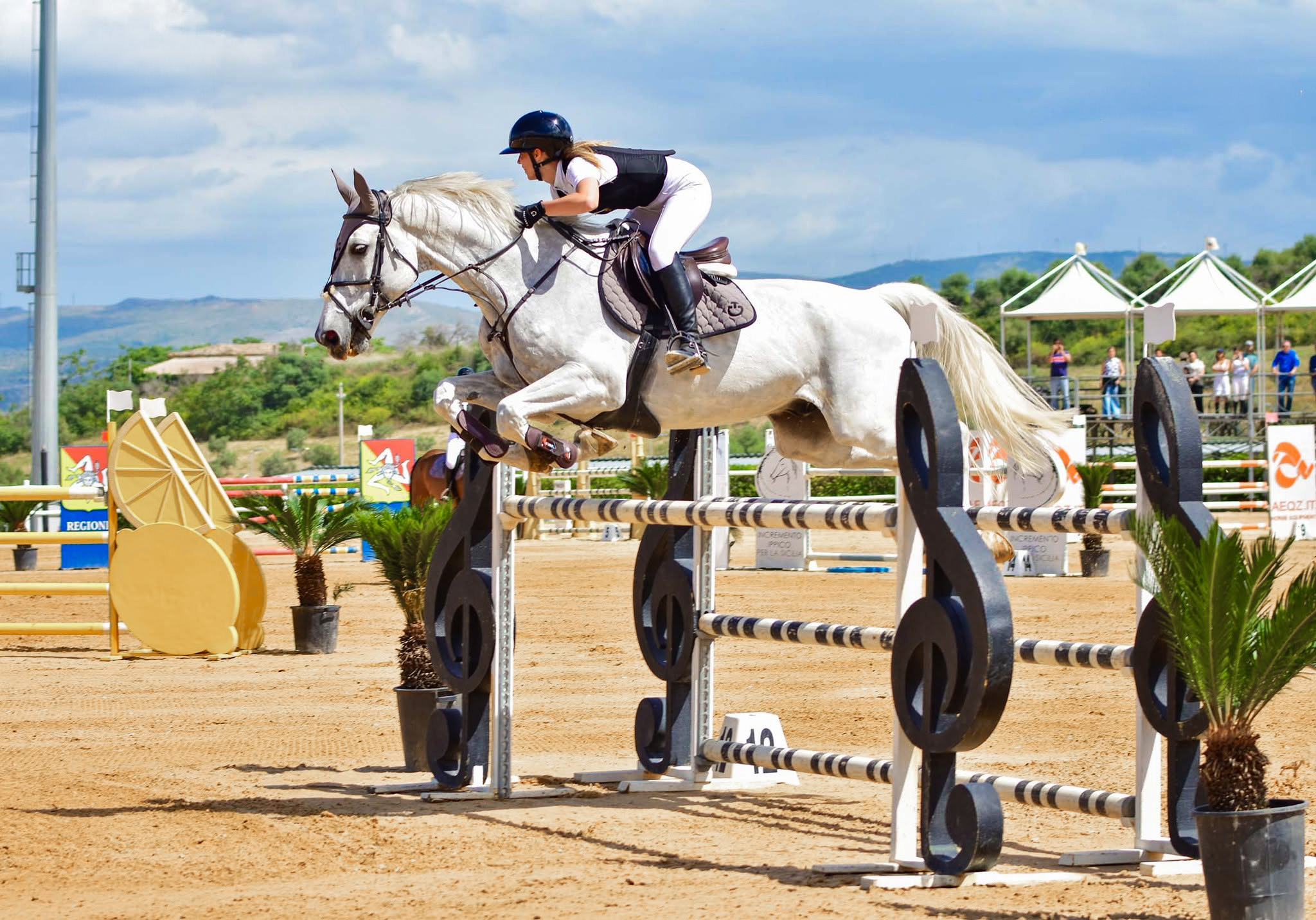 Equitazione — salto ostacoli