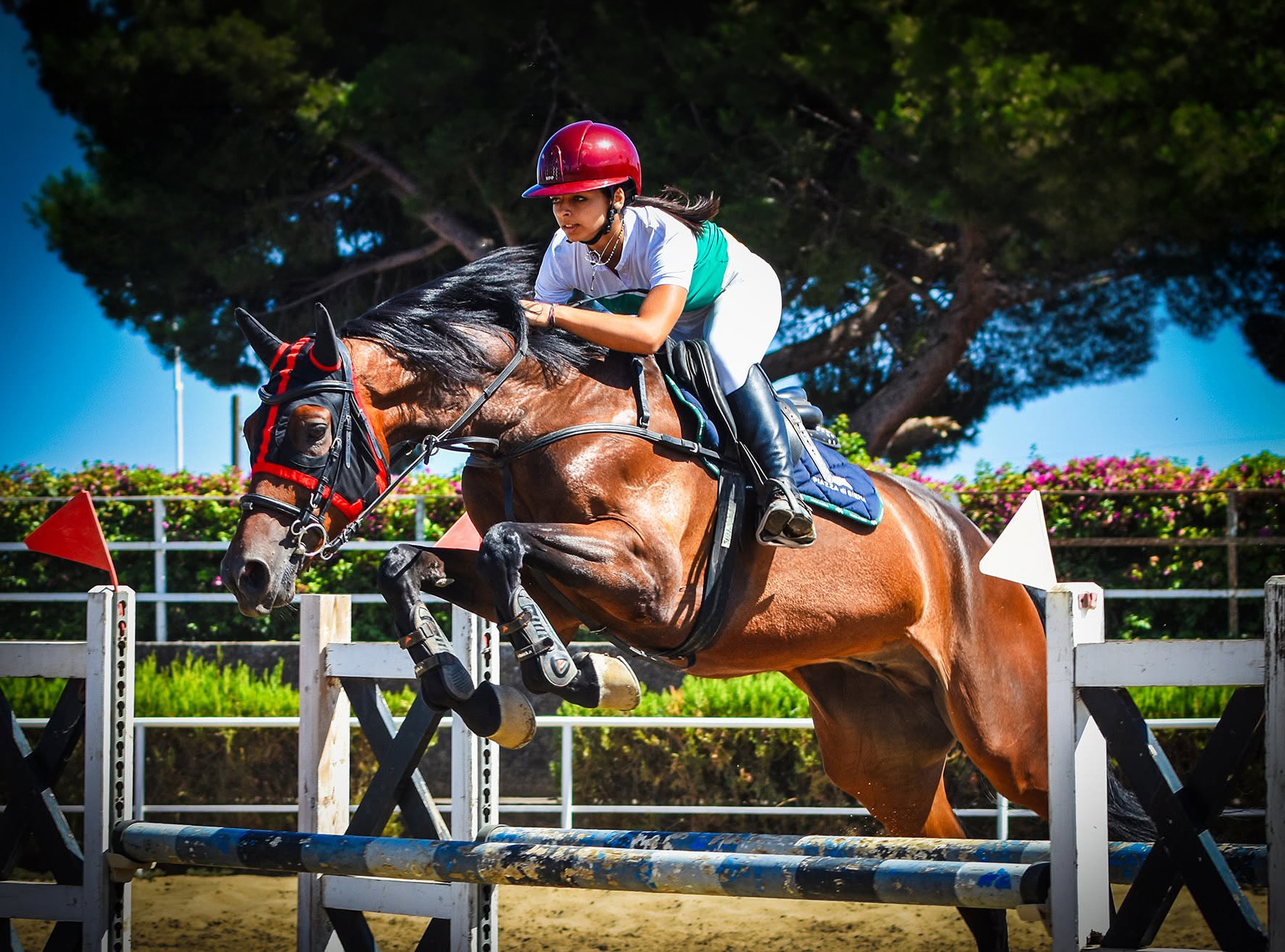Equitazione — salto ostacoli