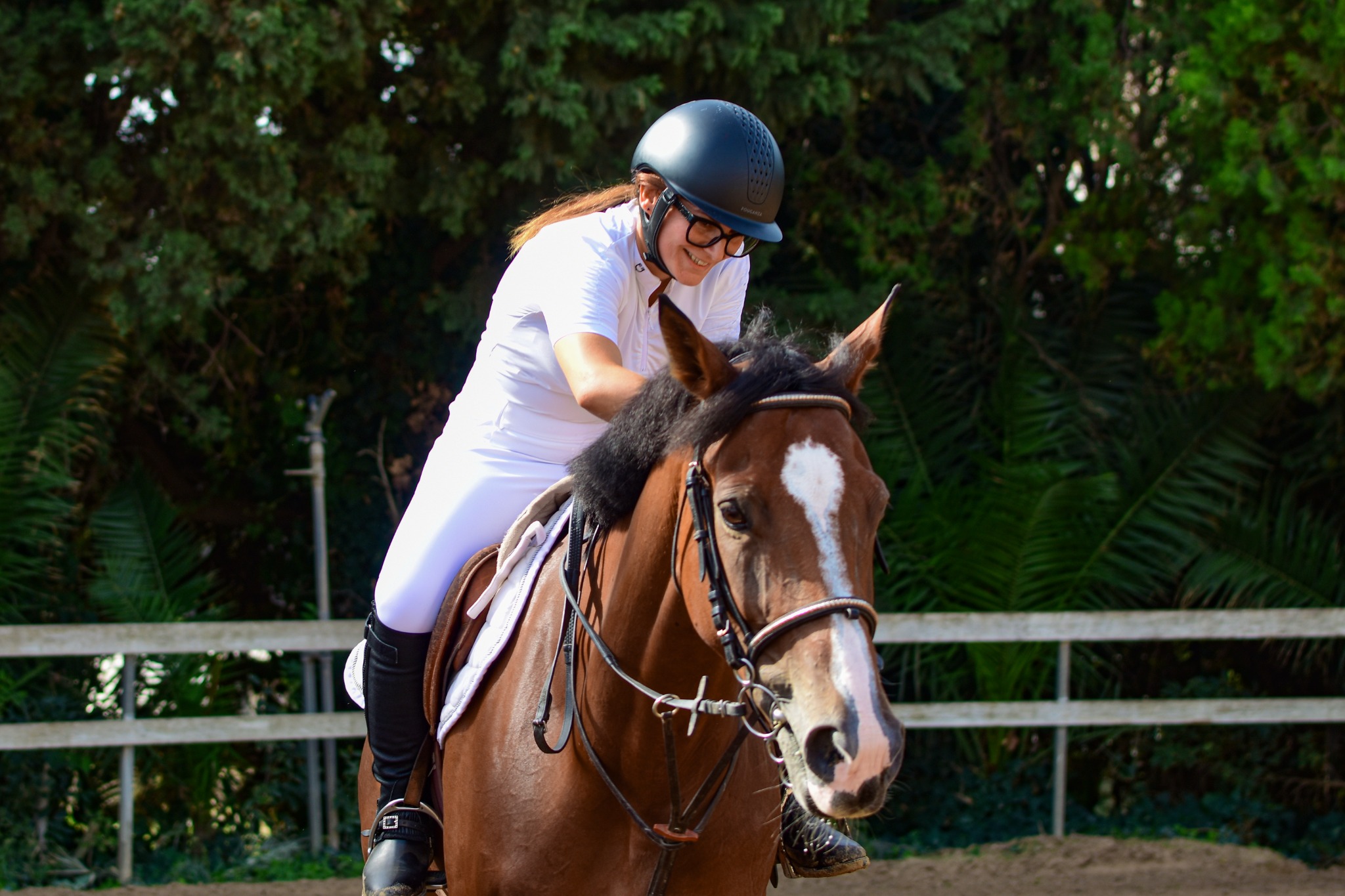 Equitazione · Salto ostacoli — fotografia 5