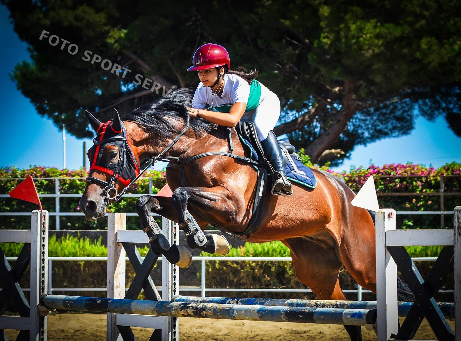 Salto ostacoli · Ragusa — fotografia 14